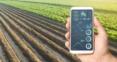 Agricultura de Precisión e IoT: Beneficios